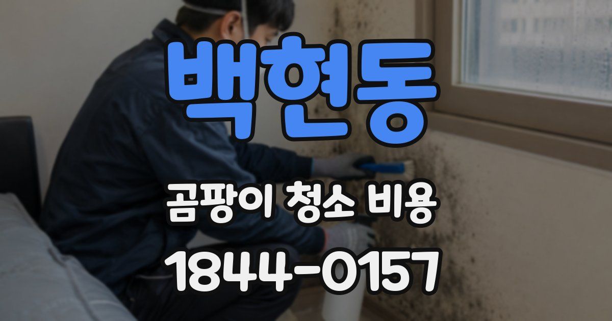 백현동 곰팡이 청소 비용