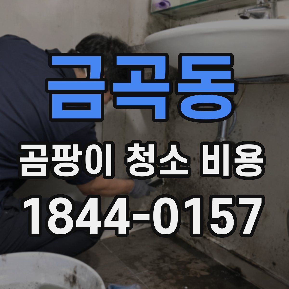 금곡동 곰팡이 청소 비용 아이 방 곰팡이 제거 후 위생 관리 방법