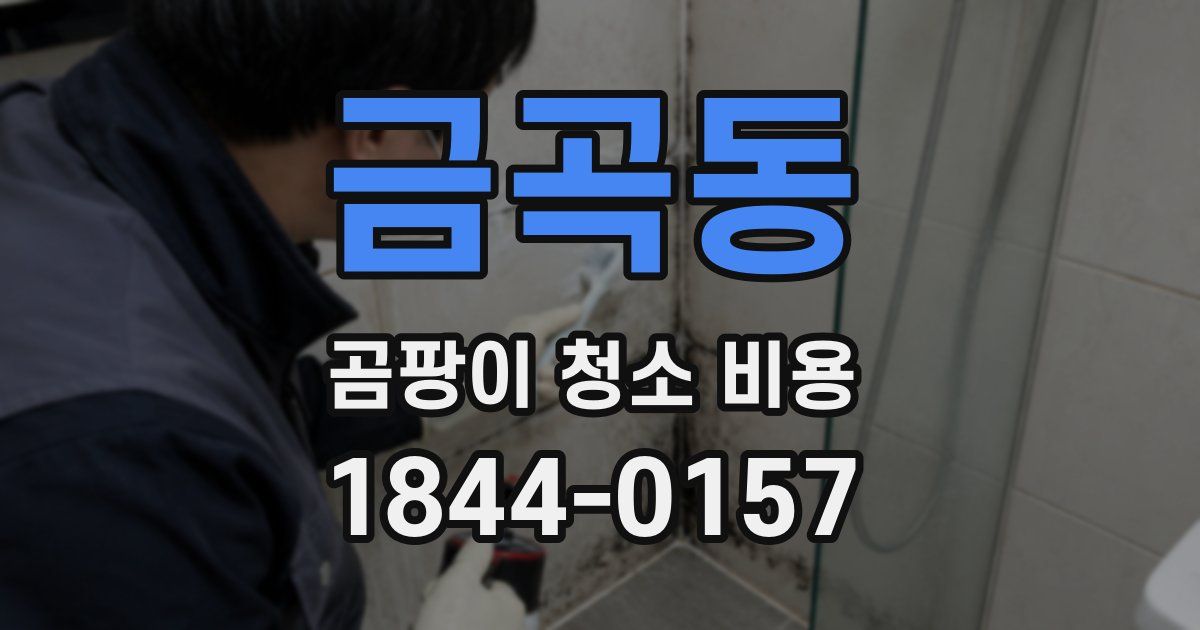 금곡동 곰팡이 청소 비용
