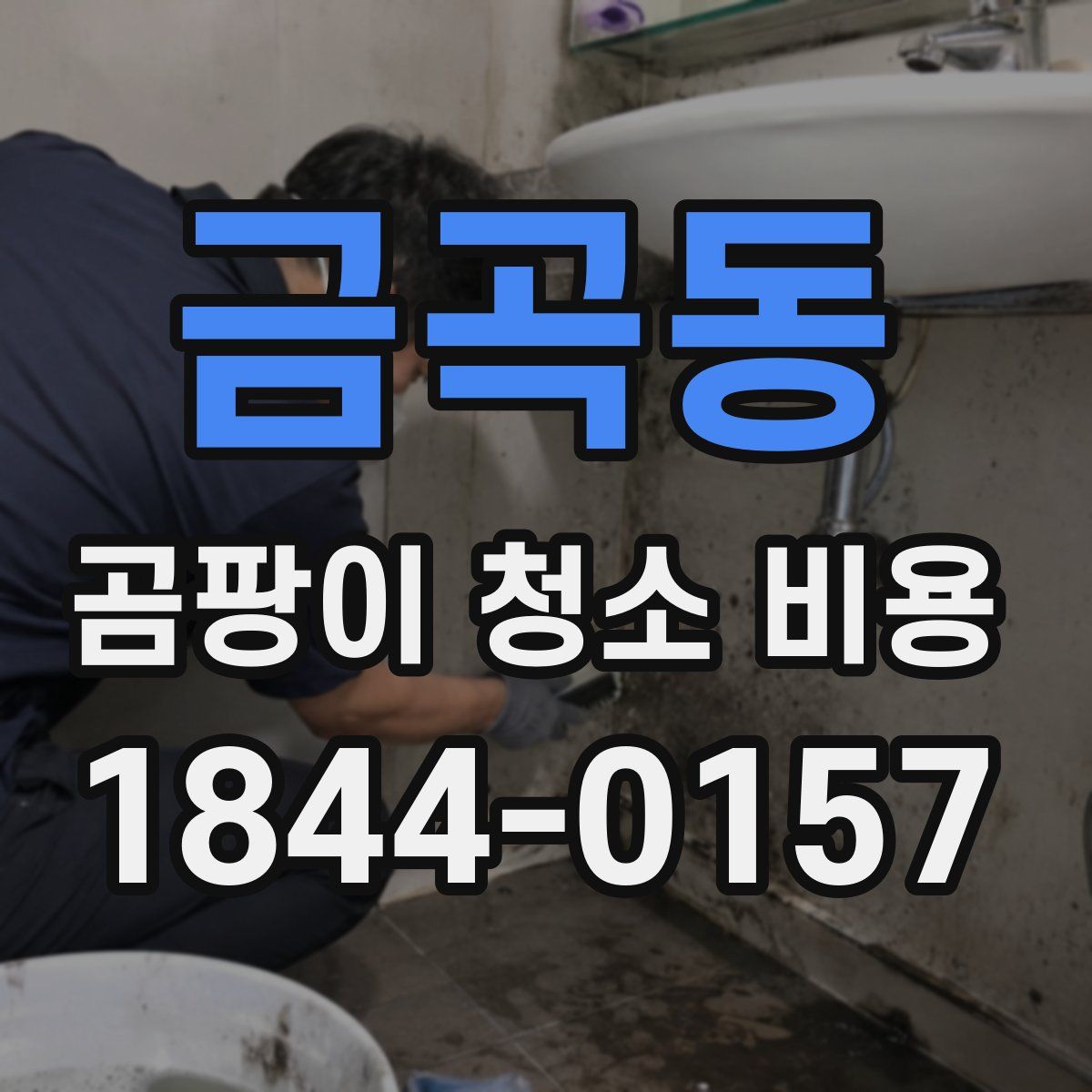 금곡동 곰팡이 청소 비용