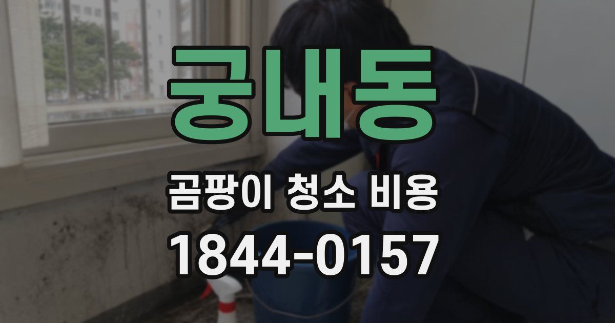 궁내동 곰팡이 청소 비용