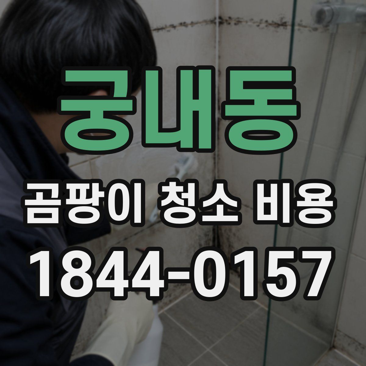궁내동 곰팡이 청소 비용