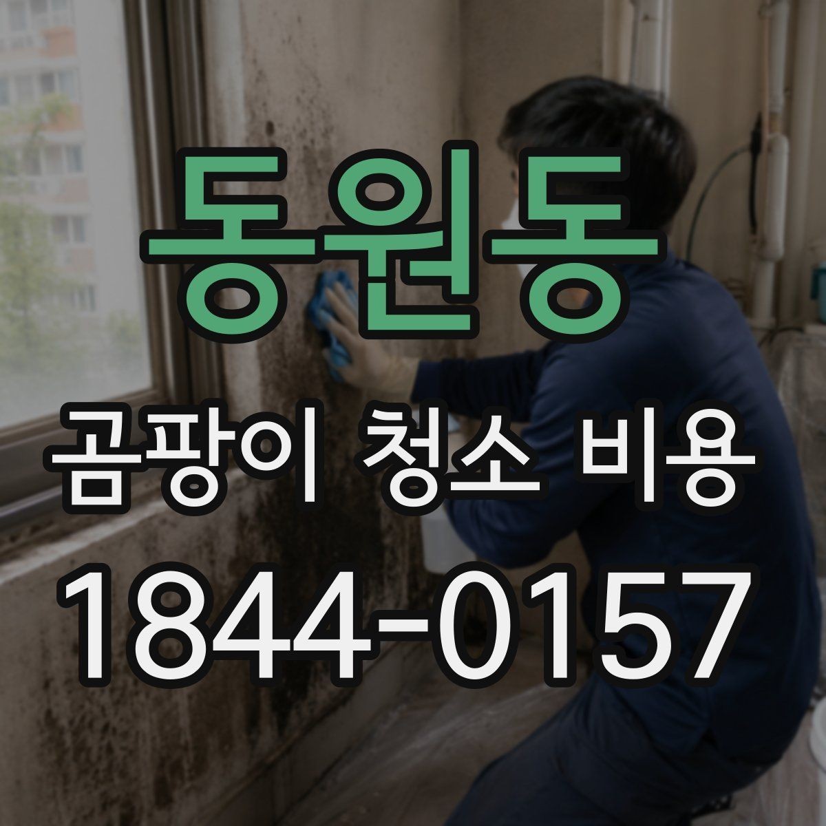 동원동 곰팡이 청소 비용 벽지와 실리콘 재오염 차이 살펴보기