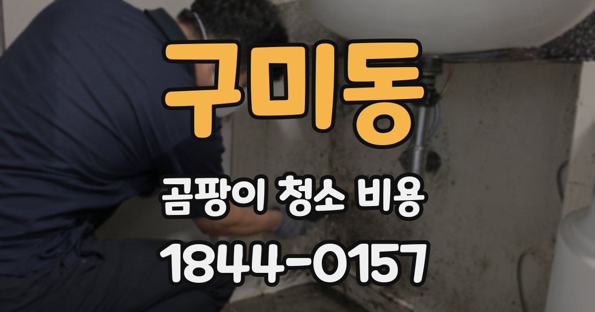 구미동 곰팡이 청소 비용
