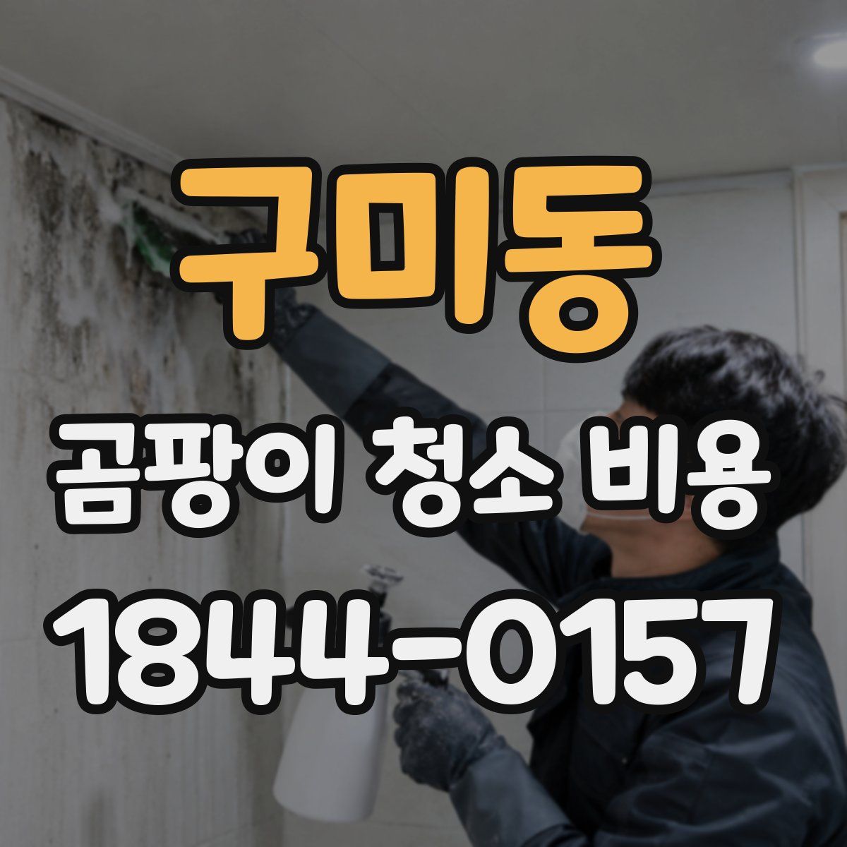 구미동 곰팡이 청소 비용