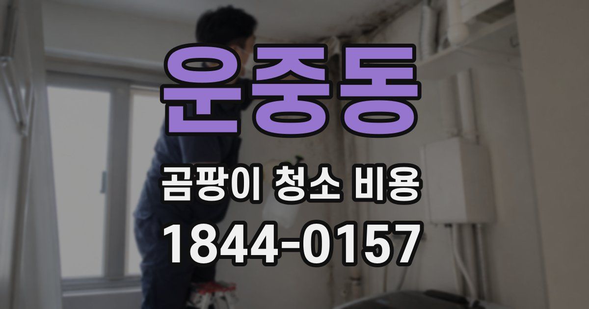 운중동 곰팡이 청소 비용