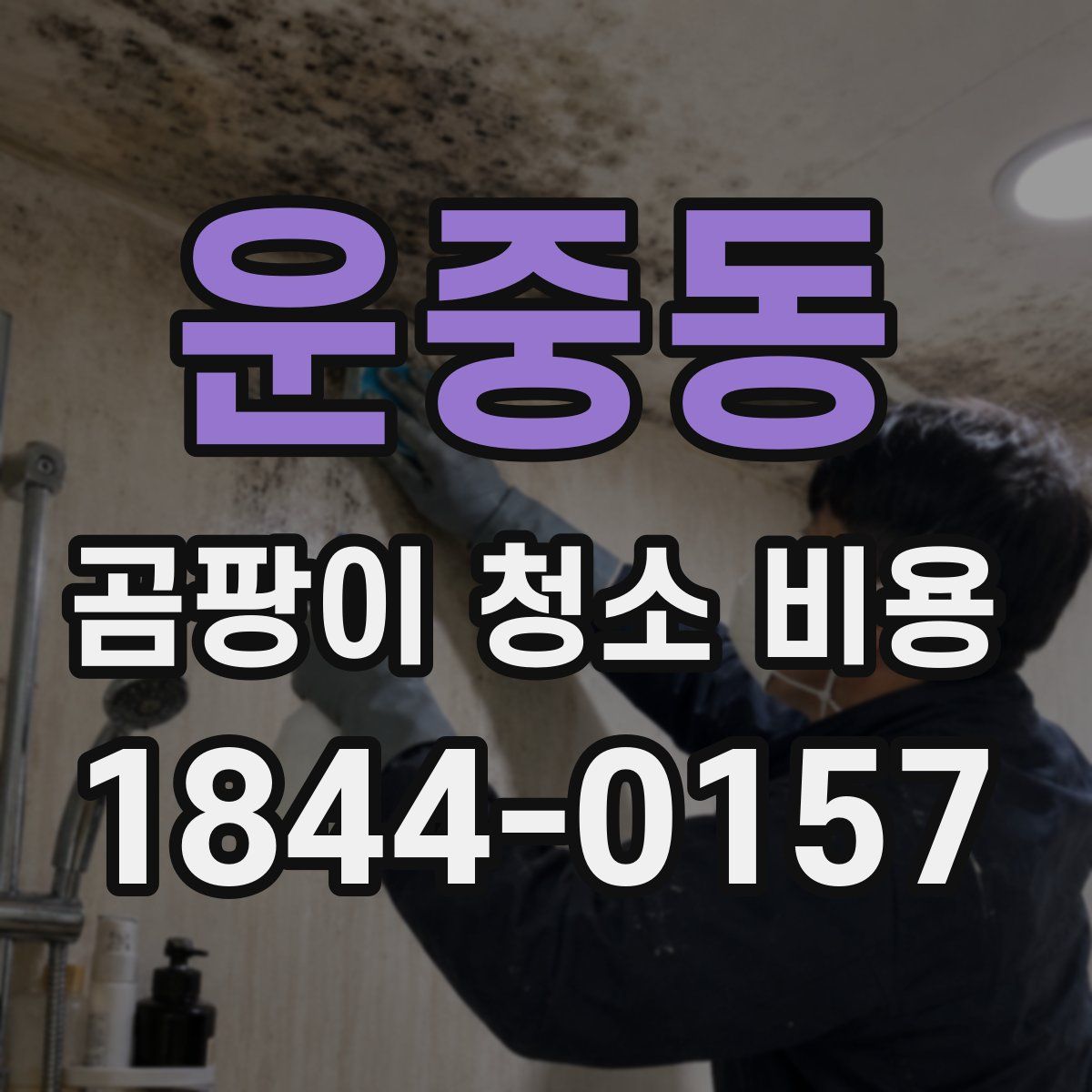 운중동 곰팡이 청소 비용