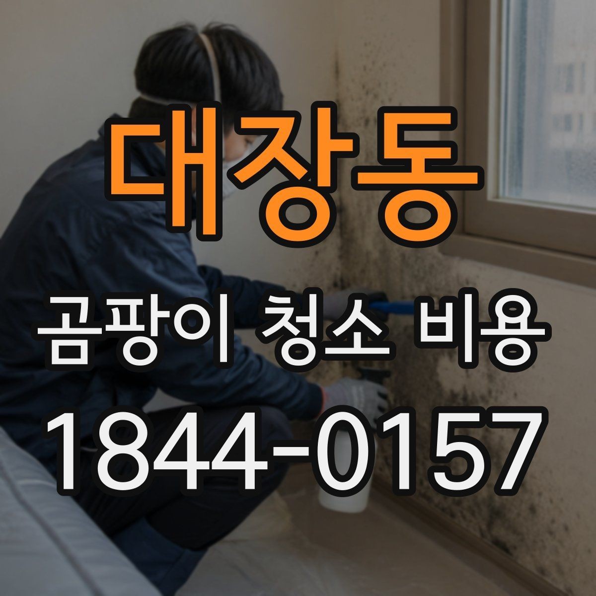대장동 곰팡이 청소 비용 부분 청소와 전체 작업의 경계를 나누는 기준
