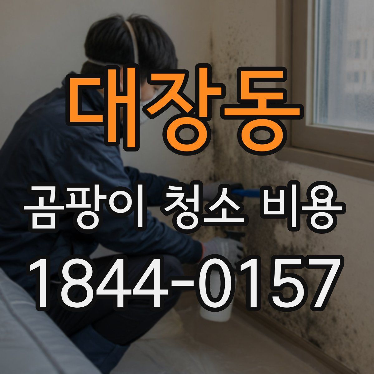대장동 곰팡이 청소 비용