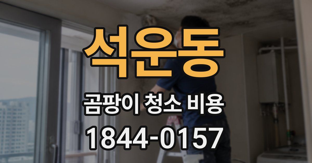석운동 곰팡이 청소 비용