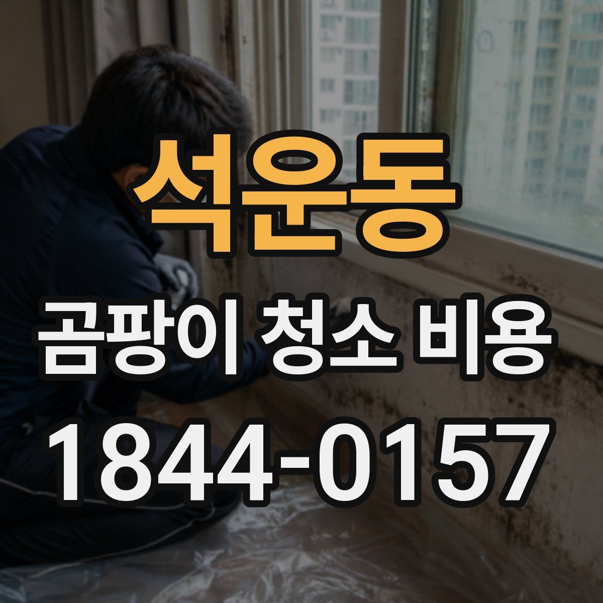 석운동 곰팡이 청소 비용