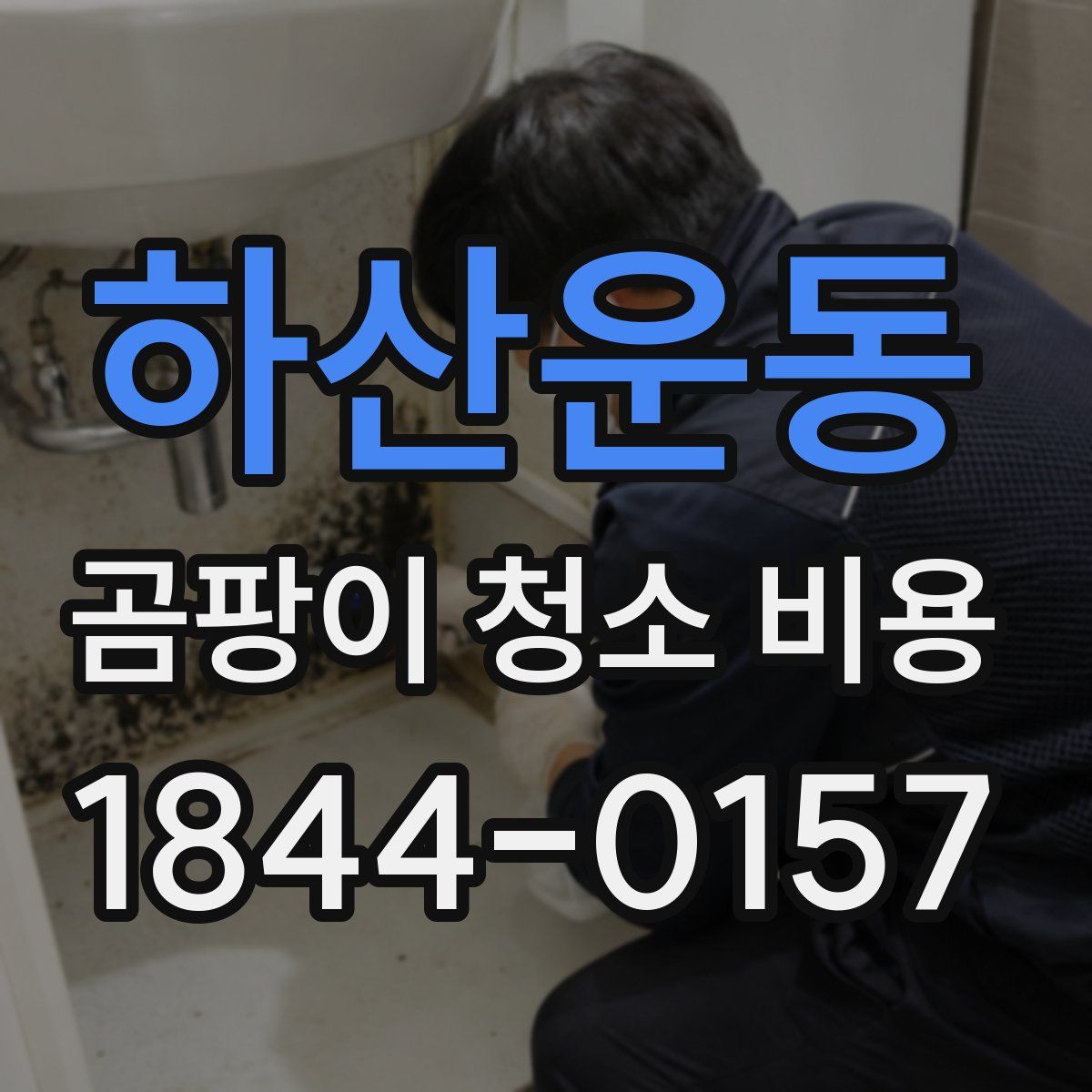 하산운동 곰팡이 청소 비용