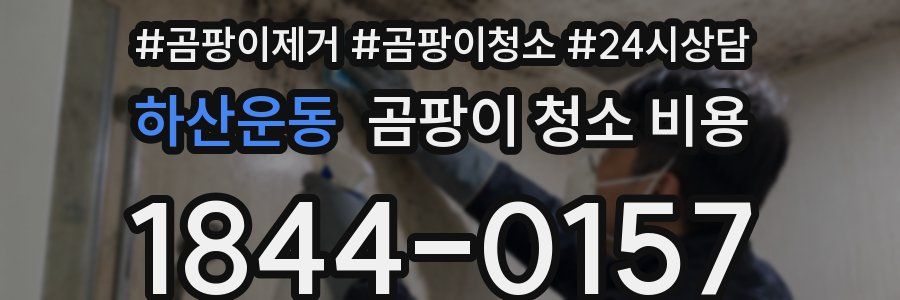 하산운동 곰팡이 청소 비용