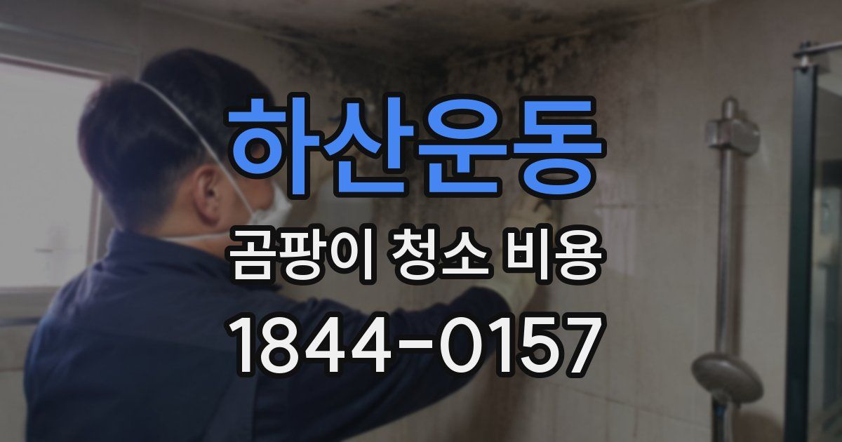 하산운동 곰팡이 청소 비용
