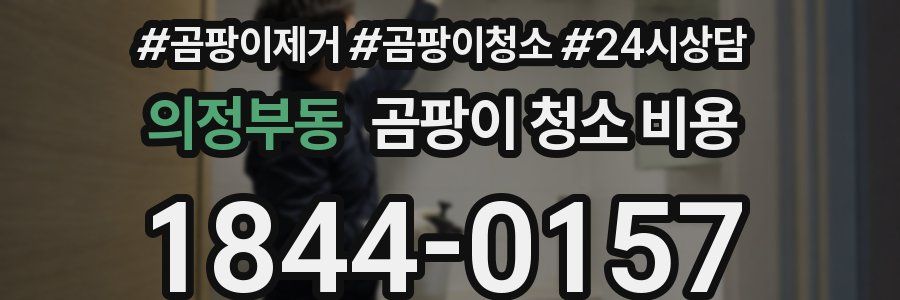 의정부동 곰팡이 청소 비용