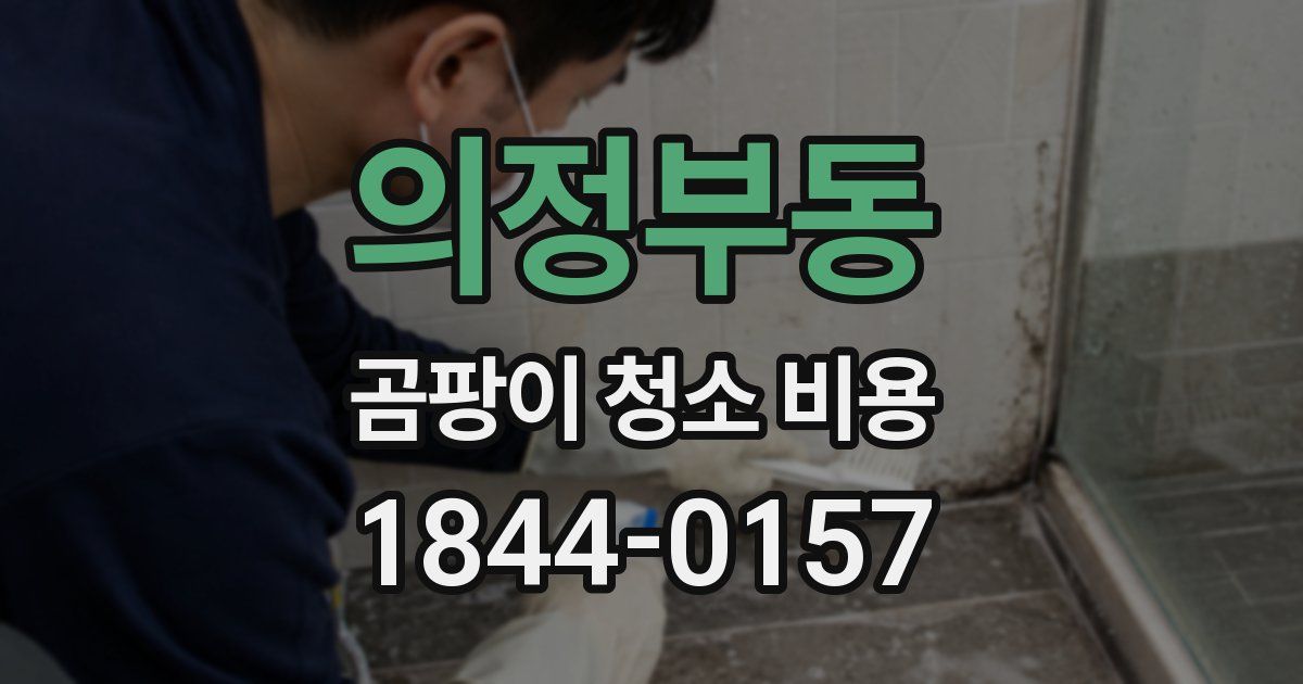 의정부동 곰팡이 청소 비용
