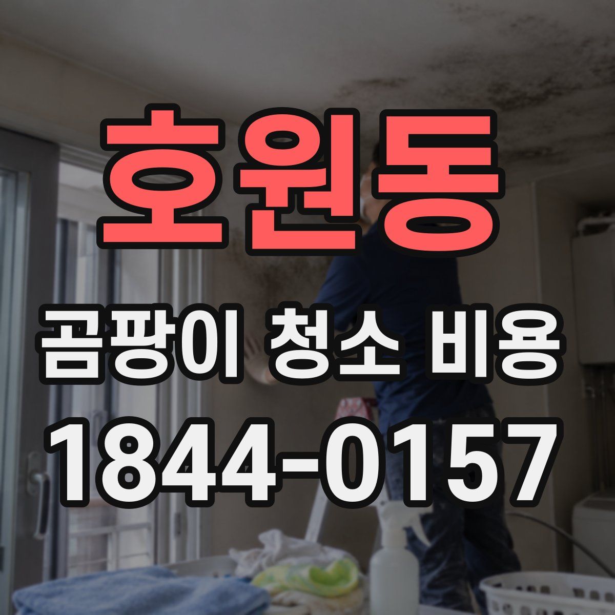 호원동 곰팡이 청소 비용