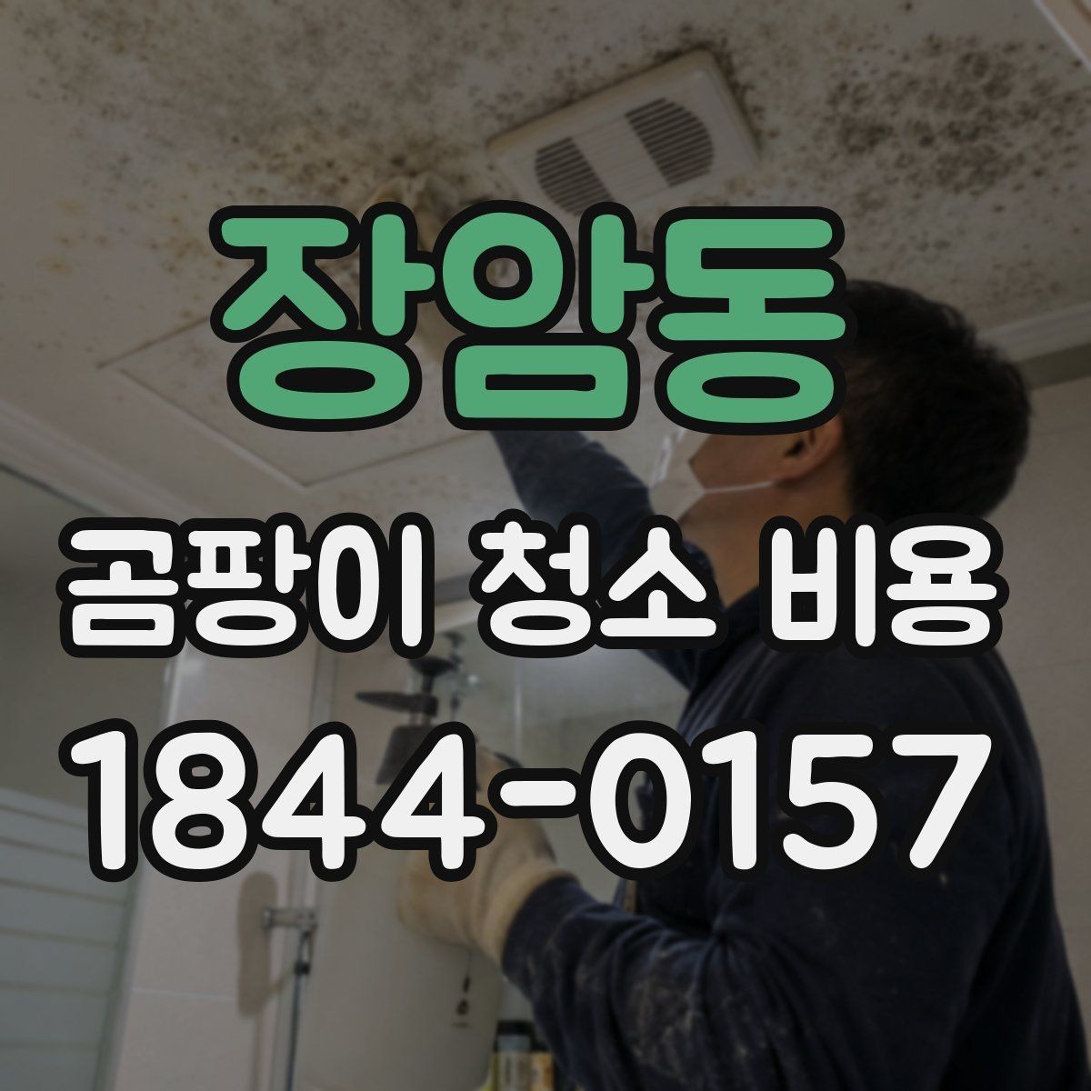 장암동 곰팡이 청소 비용 마감 청소까지 포함되는지 살펴보기