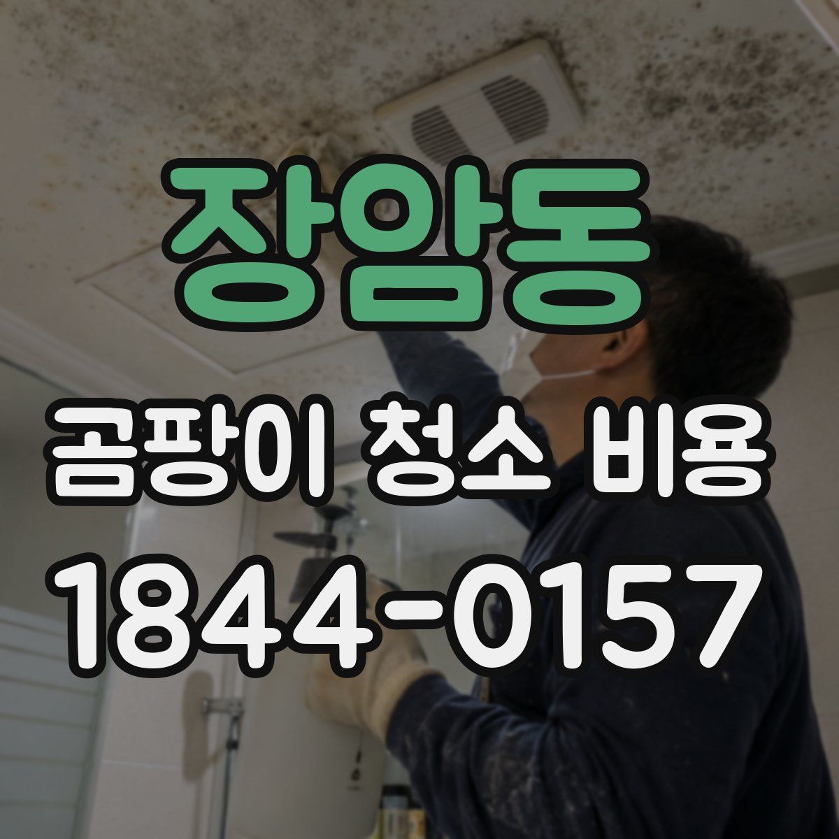 장암동 곰팡이 청소 비용