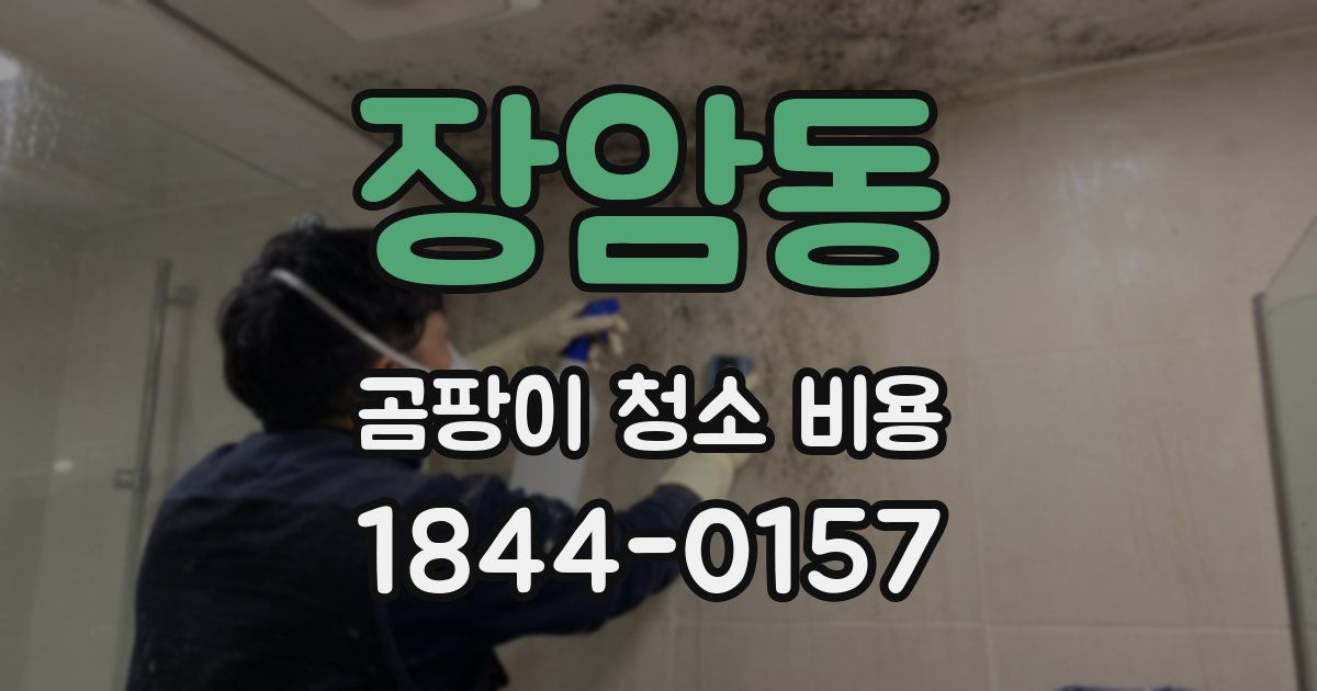 장암동 곰팡이 청소 비용