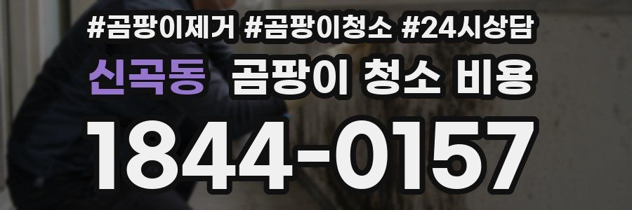 신곡동 곰팡이 청소 비용