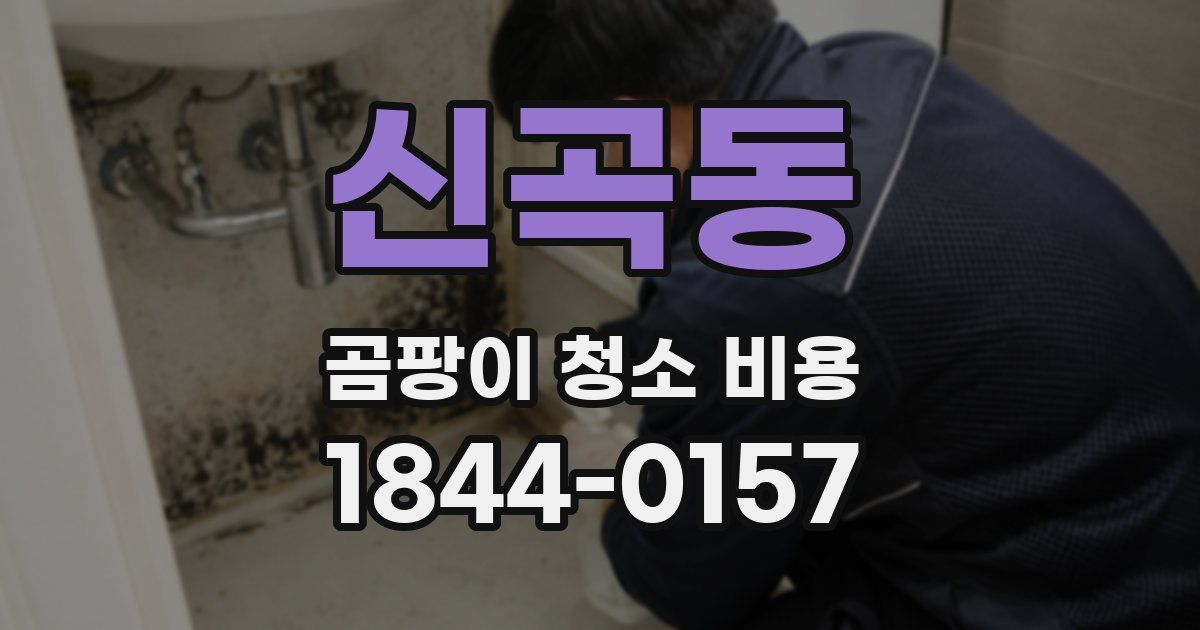 신곡동 곰팡이 청소 비용