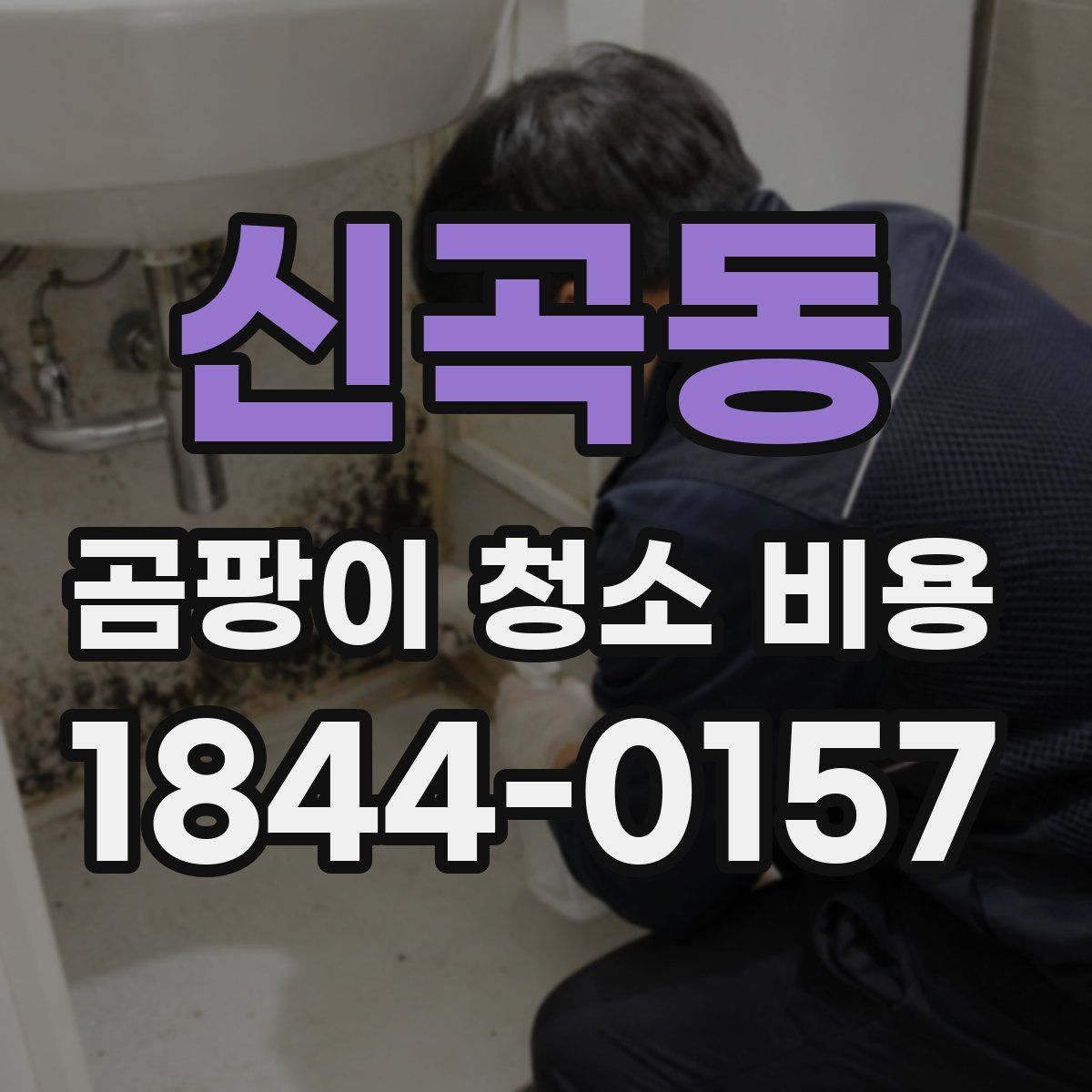 신곡동 곰팡이 청소 비용