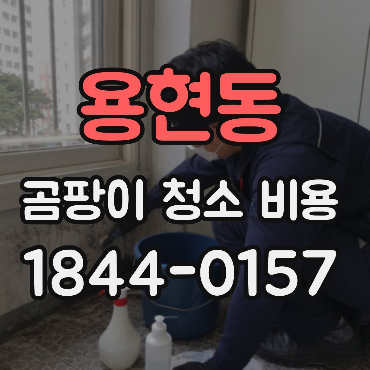 용현동 곰팡이 청소 비용