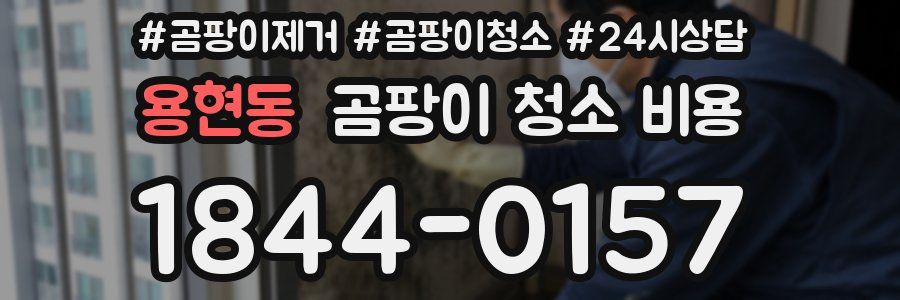 용현동 곰팡이 청소 비용