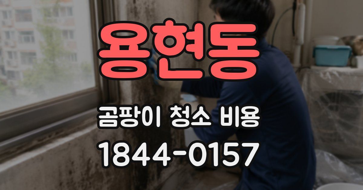 용현동 곰팡이 청소 비용