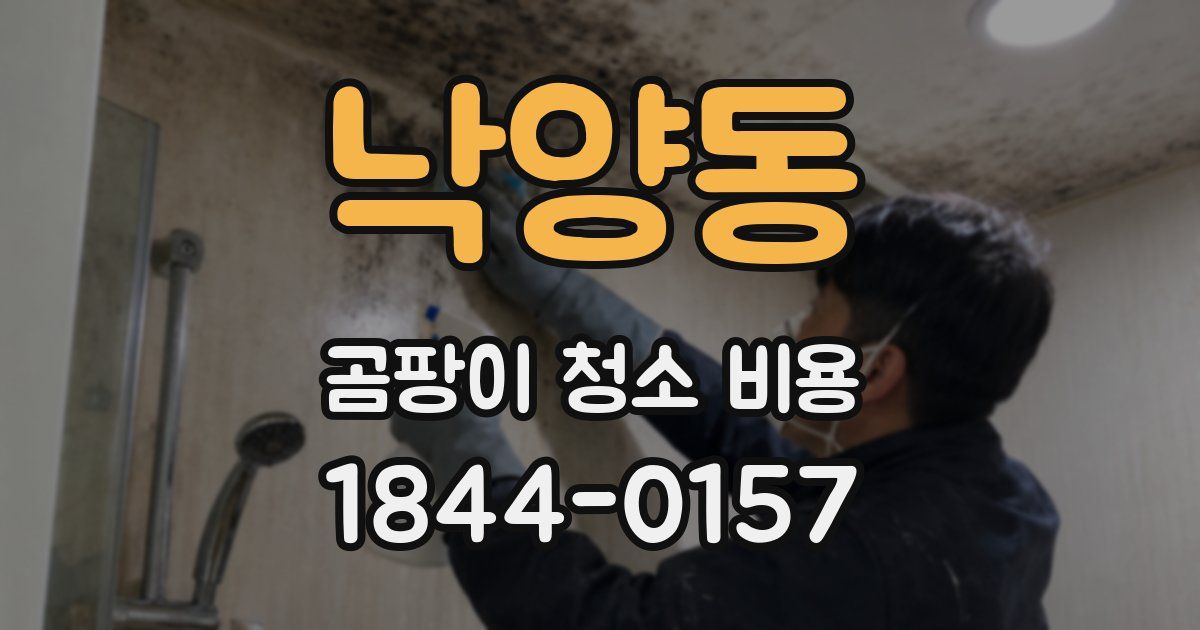 낙양동 곰팡이 청소 비용