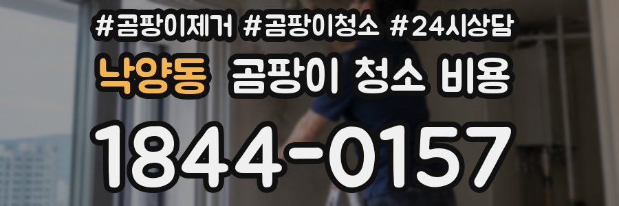 낙양동 곰팡이 청소 비용