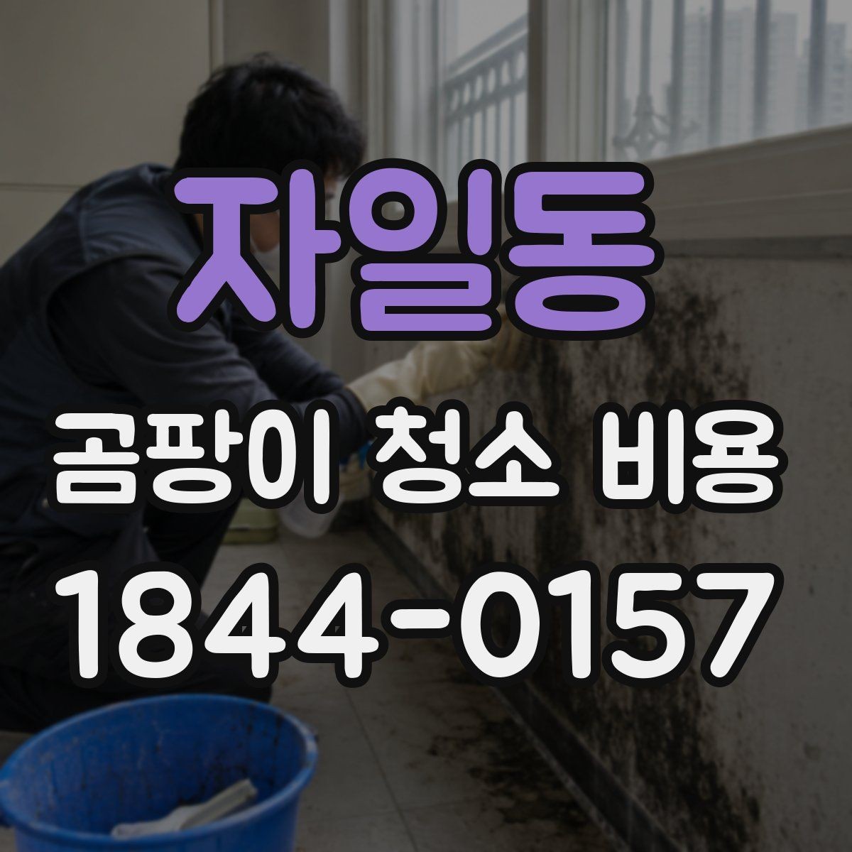 자일동 곰팡이 청소 비용 인건비 산정에서 자주 묻는 체크 포인트