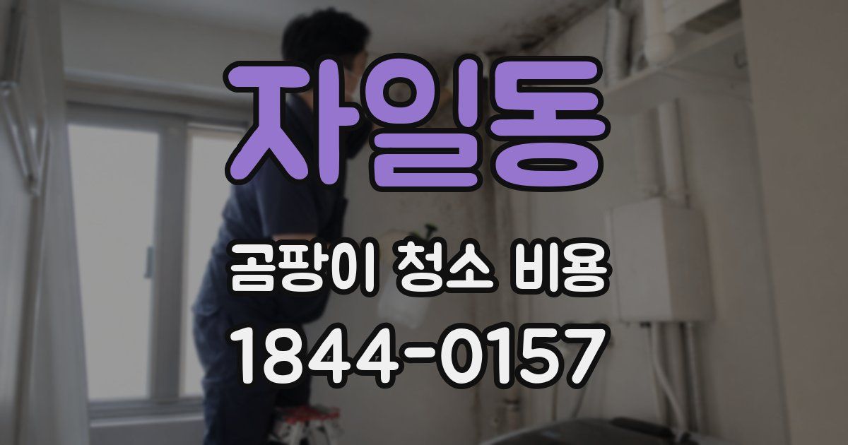 자일동 곰팡이 청소 비용