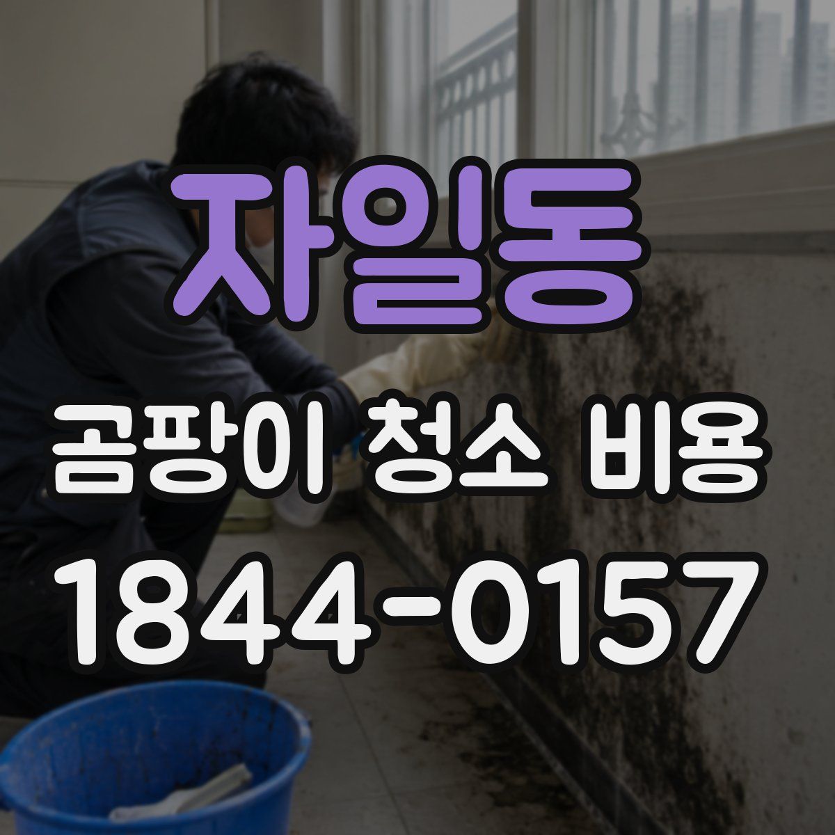 자일동 곰팡이 청소 비용