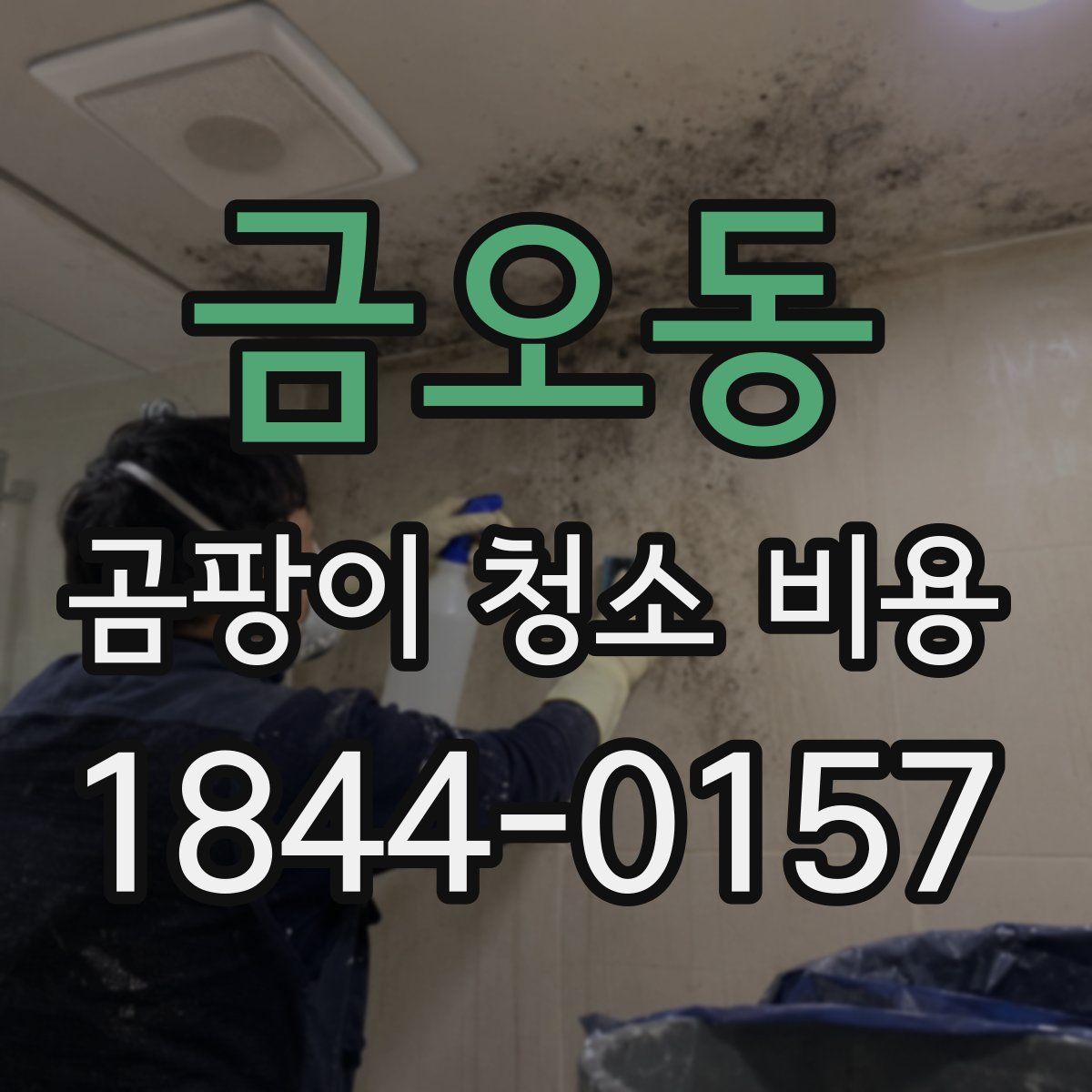금오동 곰팡이 청소 비용