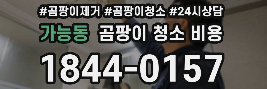 가능동 곰팡이 청소 비용