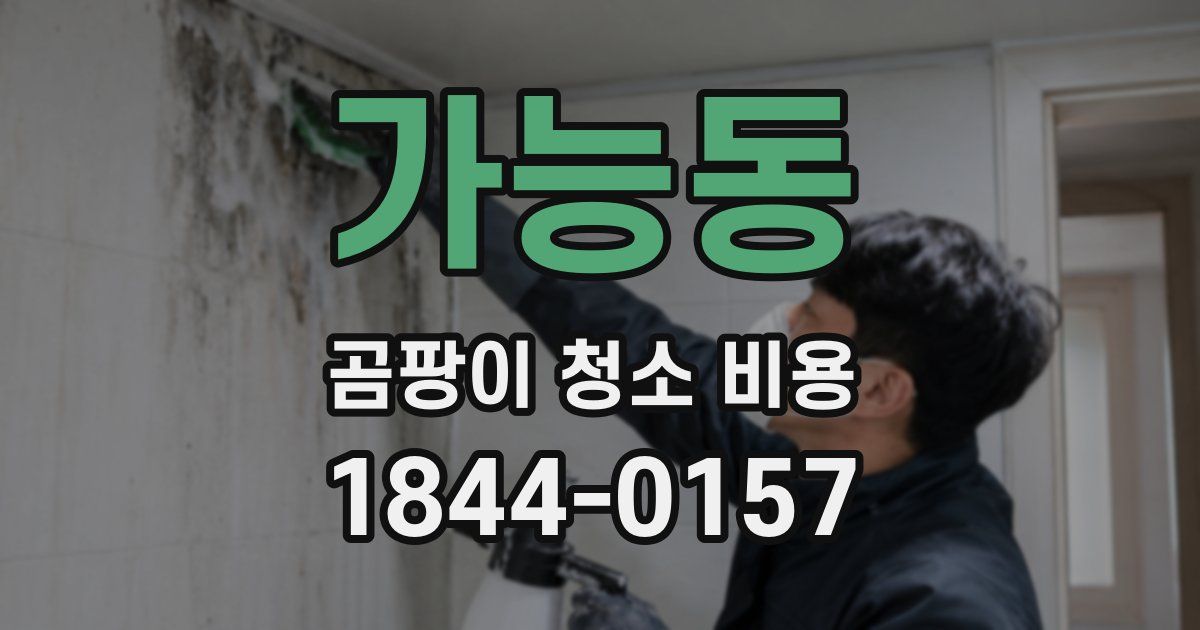 가능동 곰팡이 청소 비용