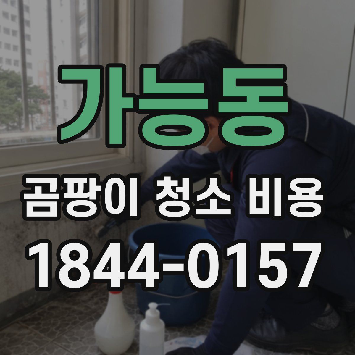 가능동 곰팡이 청소 비용