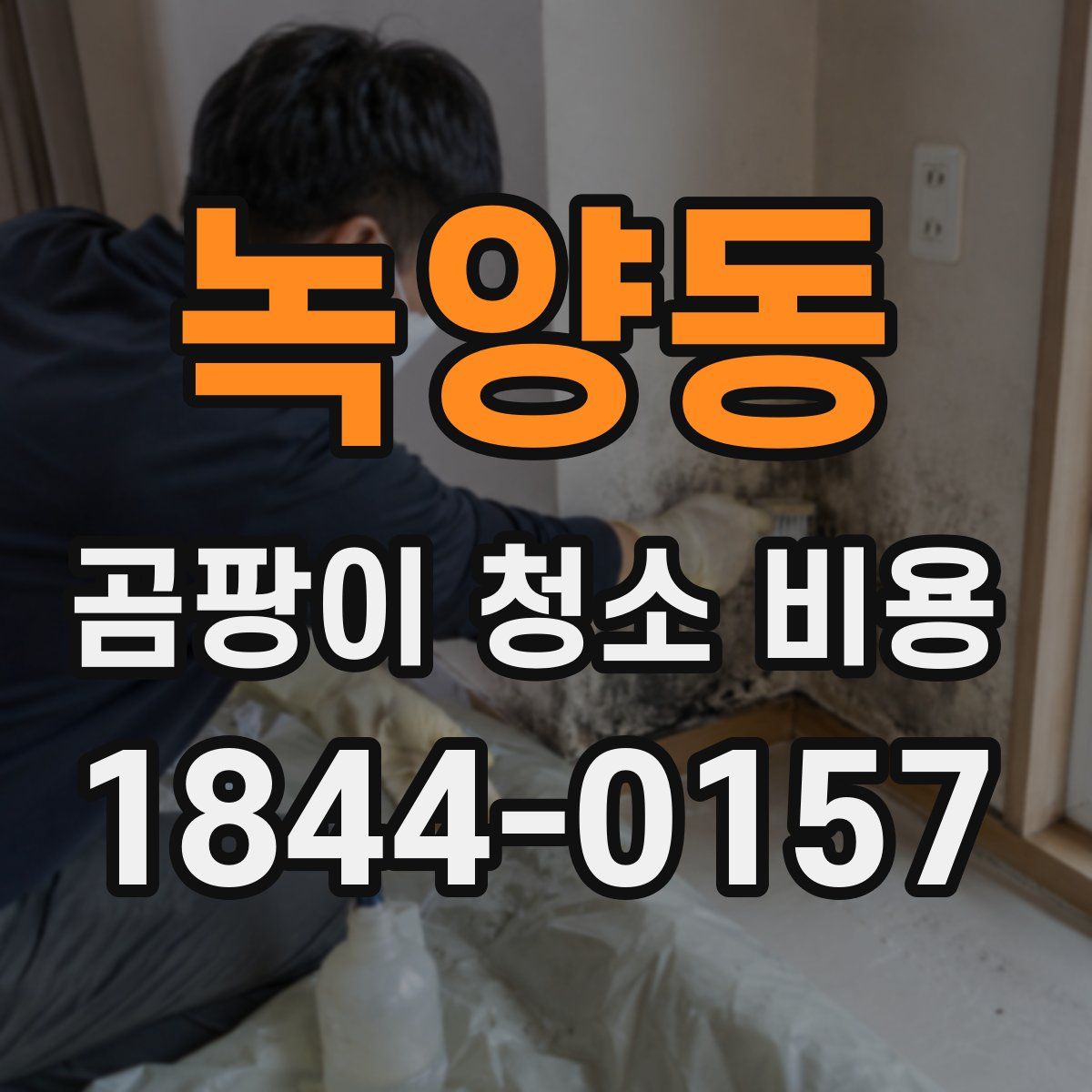 녹양동 곰팡이 청소 비용