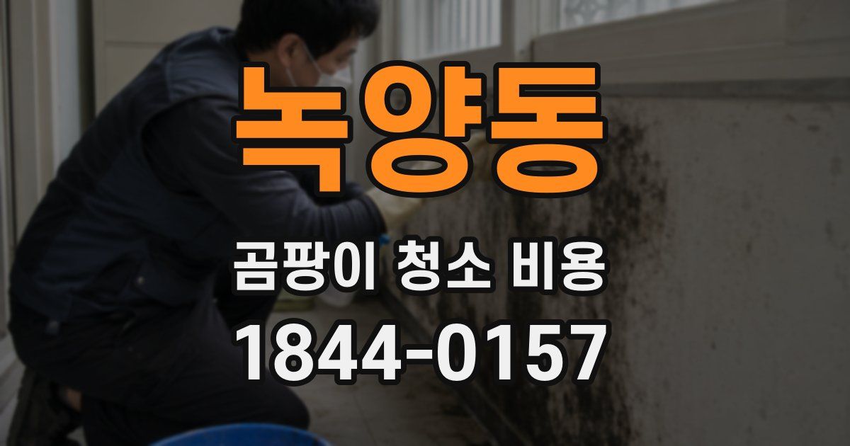 녹양동 곰팡이 청소 비용