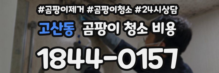 고산동 곰팡이 청소 비용