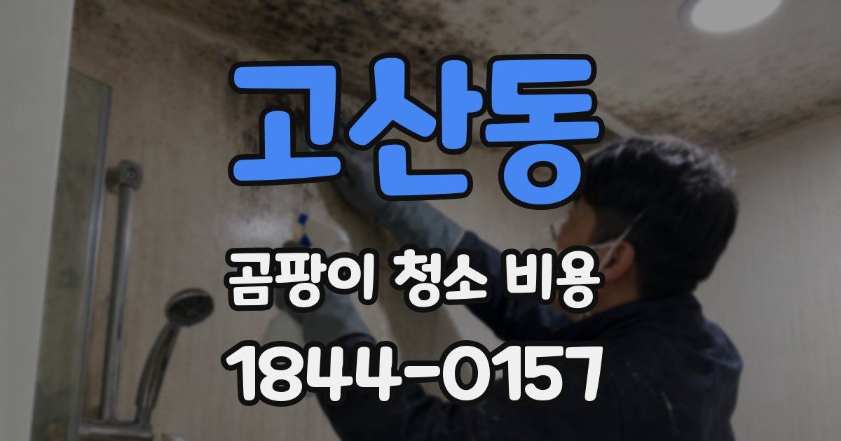 고산동 곰팡이 청소 비용