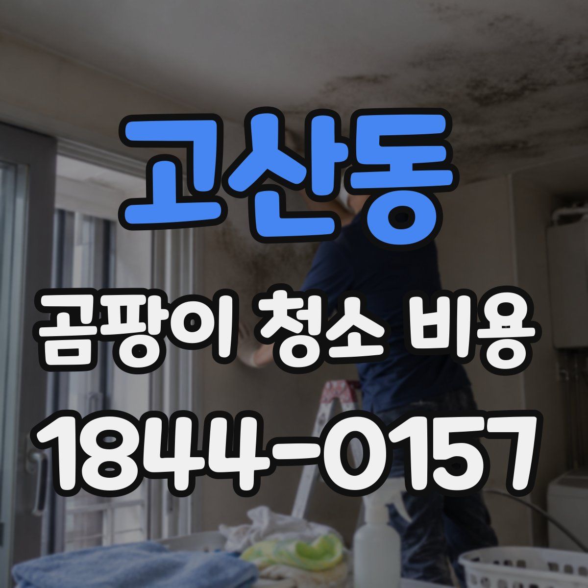 고산동 곰팡이 청소 비용