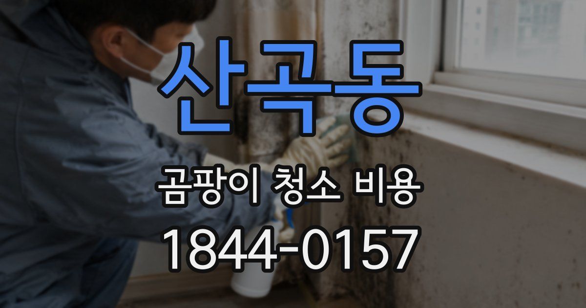 산곡동 곰팡이 청소 비용