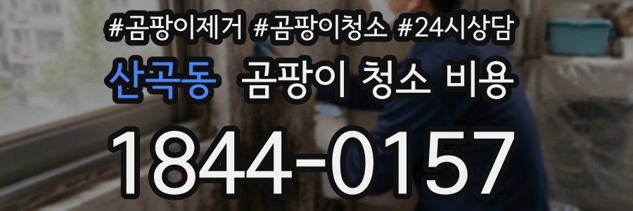 산곡동 곰팡이 청소 비용