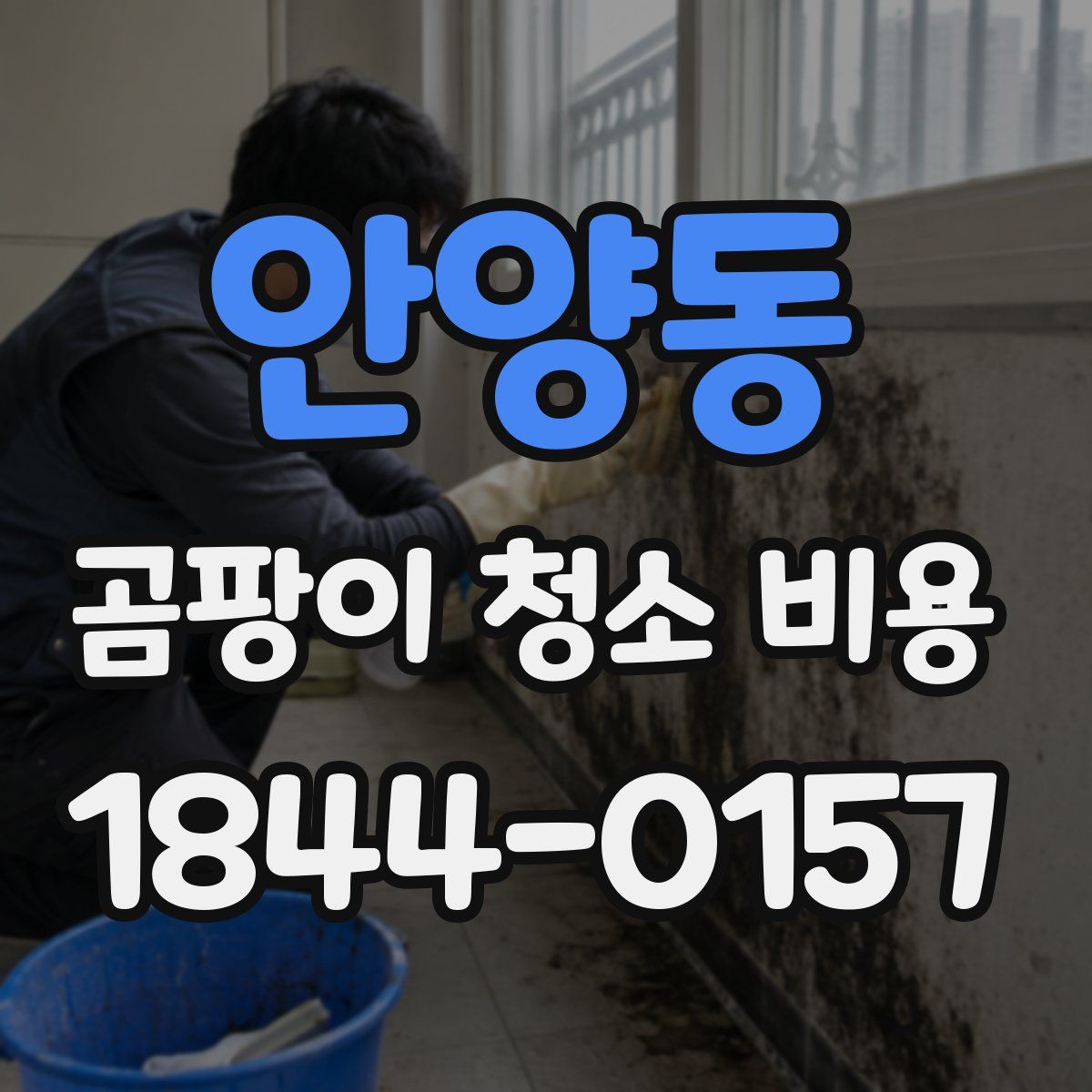 안양동 곰팡이 청소 비용