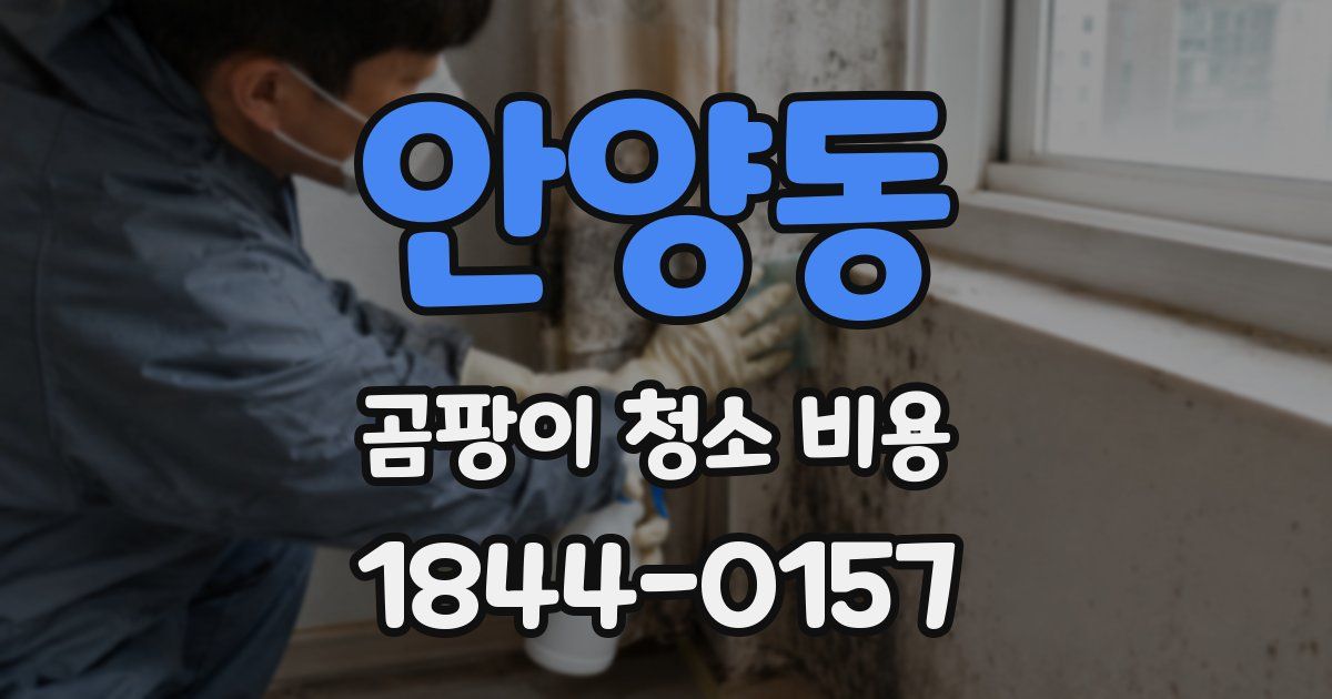 안양동 곰팡이 청소 비용