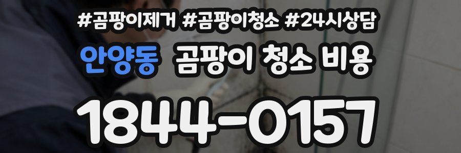 안양동 곰팡이 청소 비용