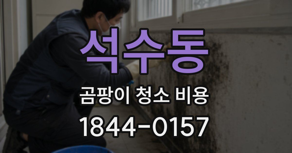 석수동 곰팡이 청소 비용
